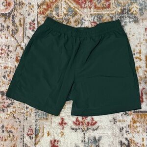 Men's Chubbies Shorts (Lined)